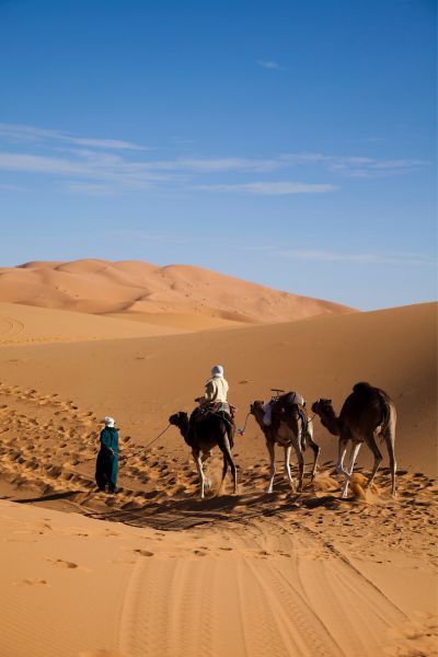 desert-tours-from-fez-desert-travel