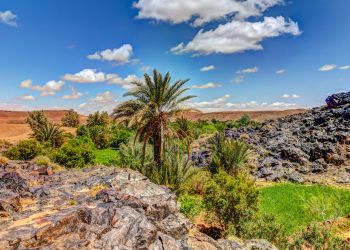 morocco-desert-tours-from-Casablanca-skoura-oasis