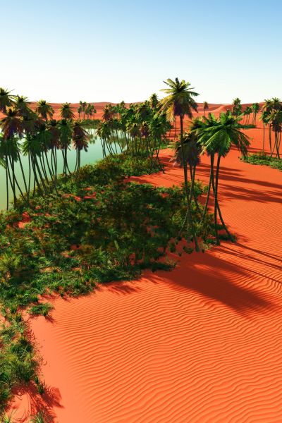 tours-from-marrakech-to-merzouga-tisardmin-oasis